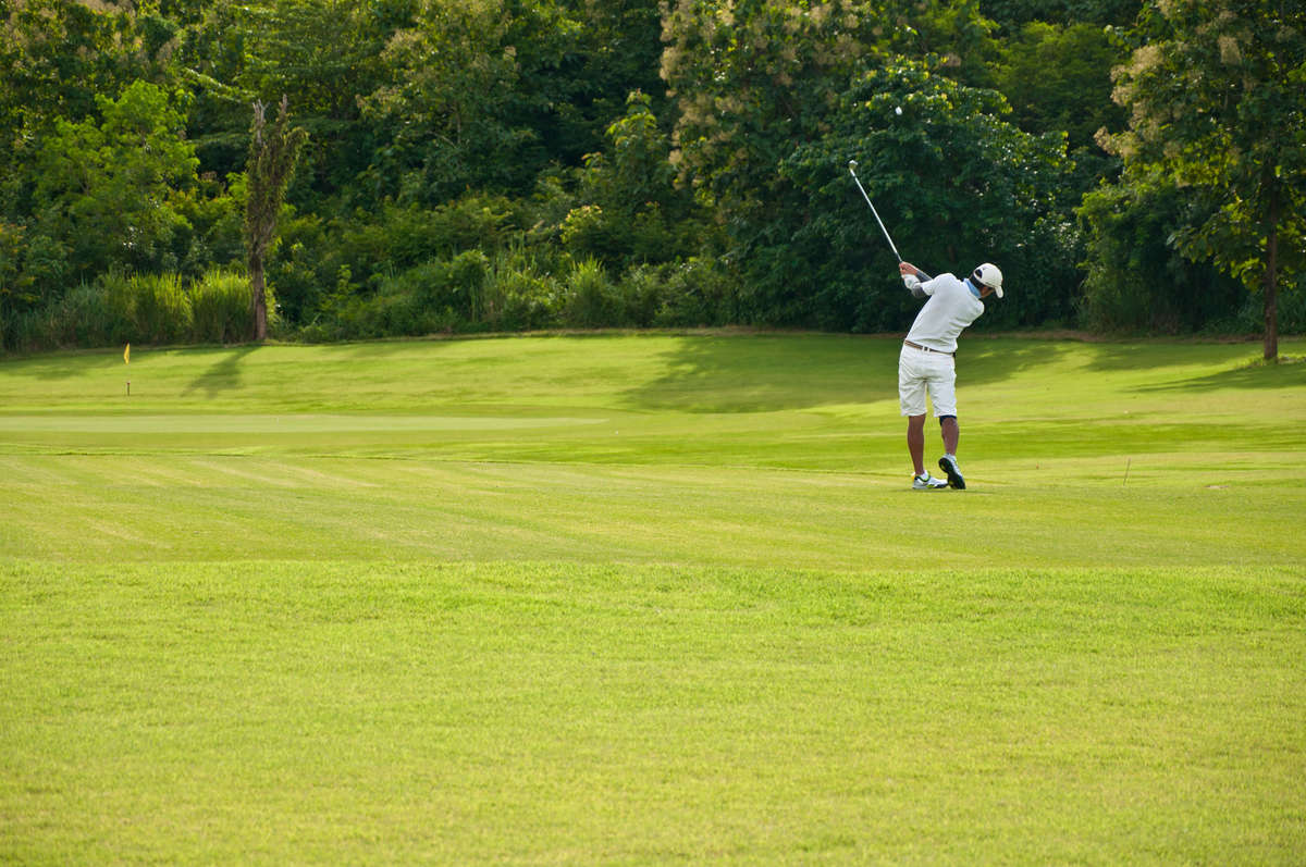 1200-1200-60-0-0-0 (1)